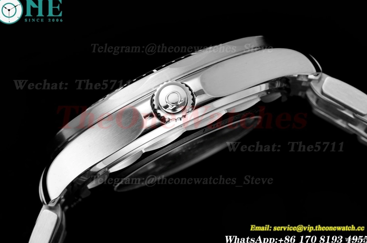 8800 Asia 300m SS 2018 Seamaster ORF Black SS 0113